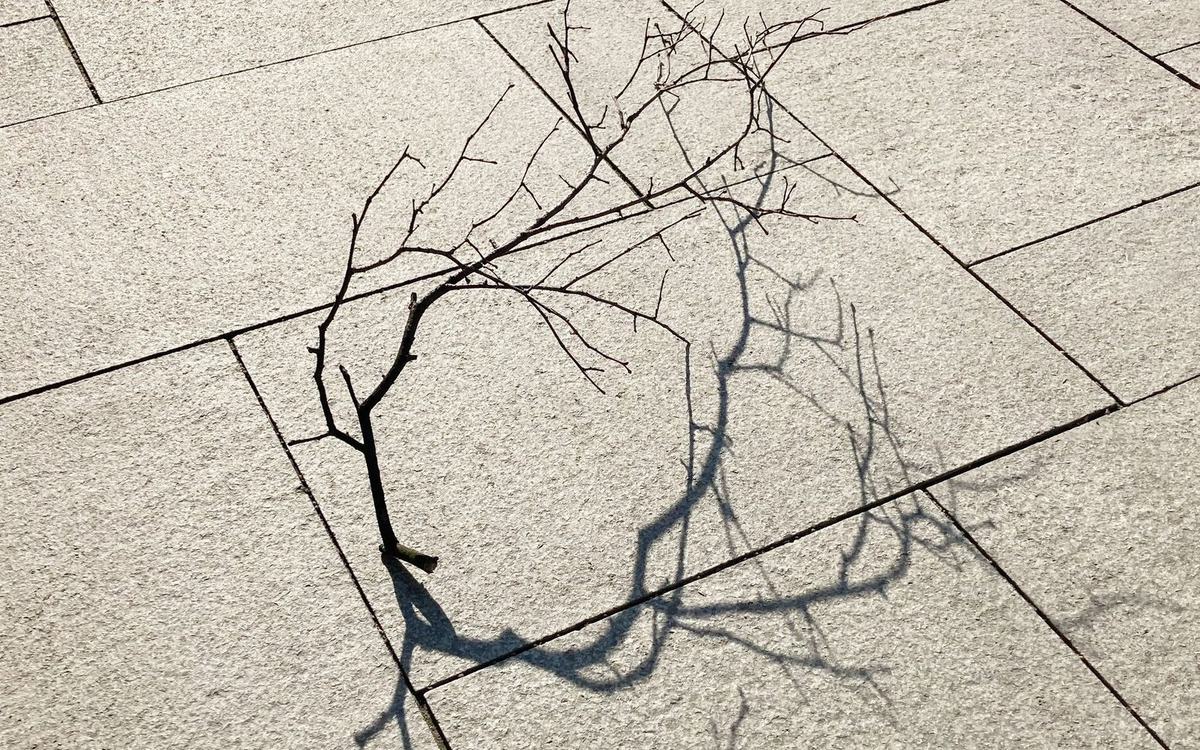 Large format grey paving slabs laid in a regular pattern