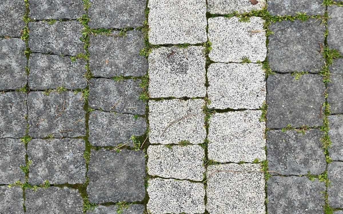 Weathered paving with moss growing through the open joints